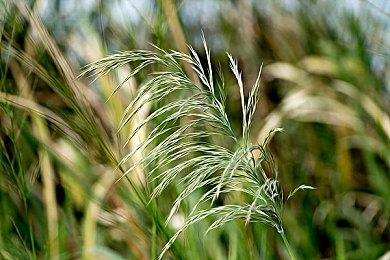 具体原因不明！ 任天堂及多家平台突发网络服务大规模中断